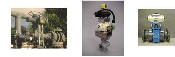 Coyle Product Details